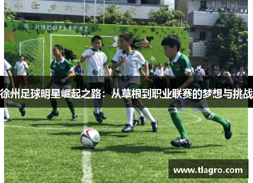 徐州足球明星崛起之路：从草根到职业联赛的梦想与挑战
