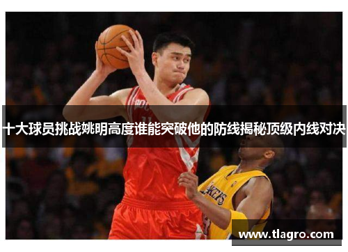 十大球员挑战姚明高度谁能突破他的防线揭秘顶级内线对决