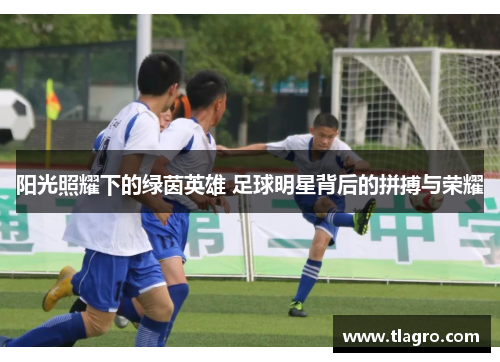 阳光照耀下的绿茵英雄 足球明星背后的拼搏与荣耀