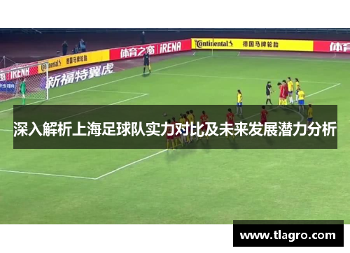 深入解析上海足球队实力对比及未来发展潜力分析