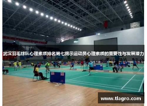 武汉羽毛球队心理素质排名第七揭示运动员心理素质的重要性与发展潜力