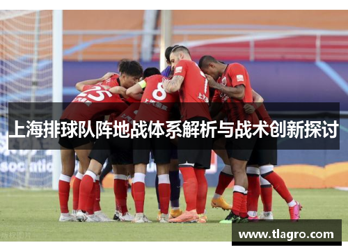 上海排球队阵地战体系解析与战术创新探讨