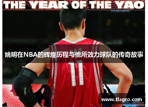 姚明在NBA的辉煌历程与他所效力球队的传奇故事