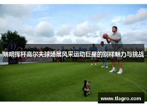 姚明挥杆高尔夫球场展风采运动巨星的别样魅力与挑战