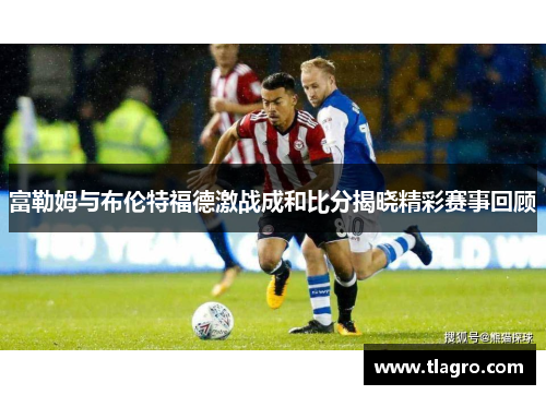 富勒姆与布伦特福德激战成和比分揭晓精彩赛事回顾
