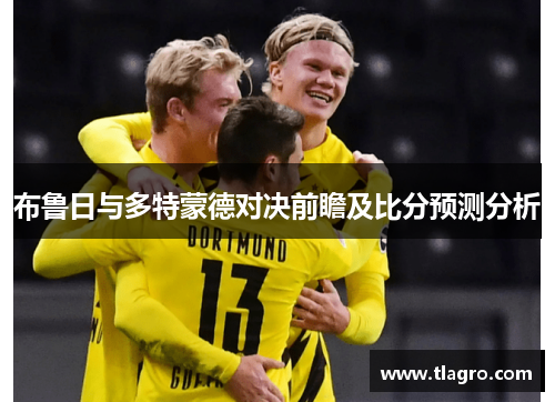 布鲁日与多特蒙德对决前瞻及比分预测分析
